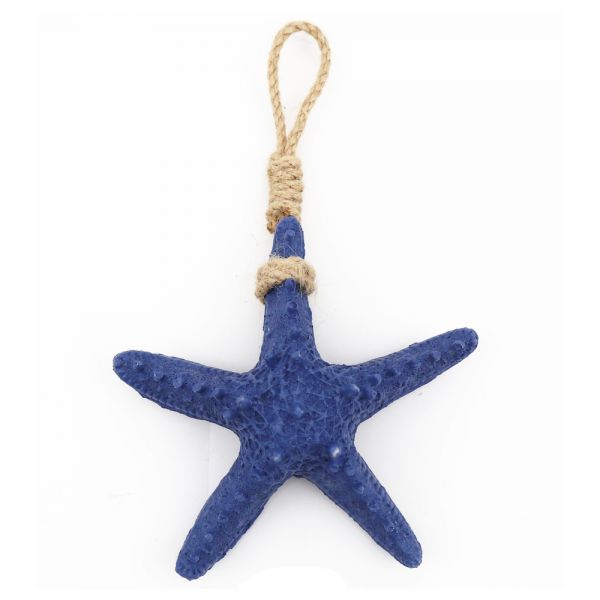Small Starfish 
