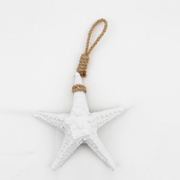 Small Starfish-White