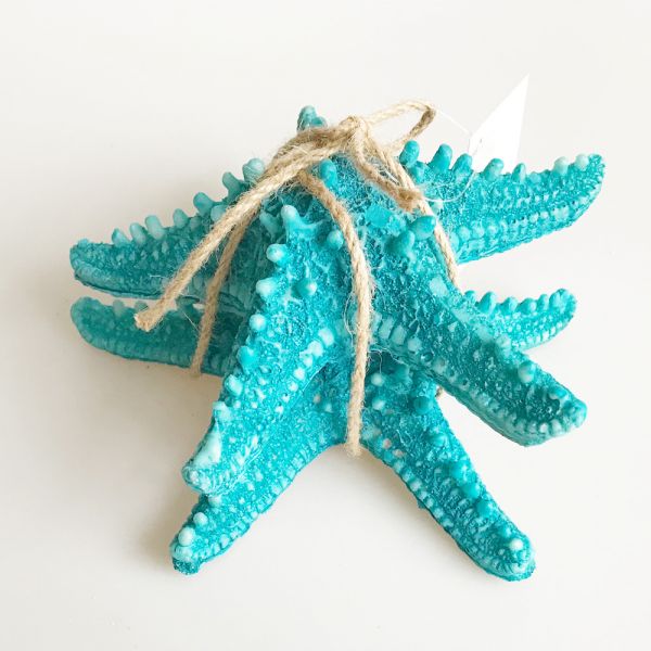 Set of 2 large blue starfish