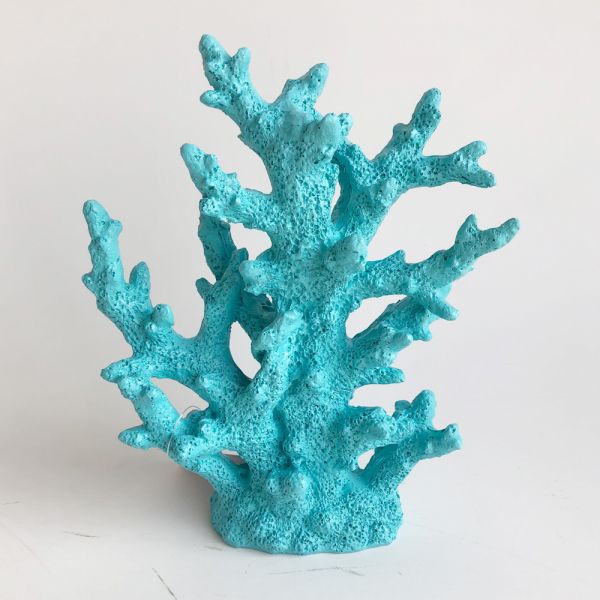 medium Turquoise Coral Reef