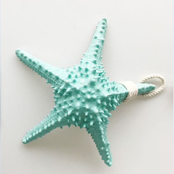 Large starfish
