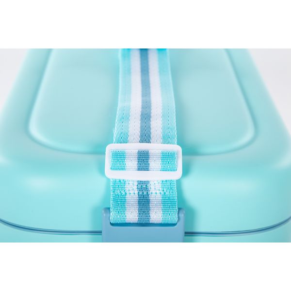 ZINNIA / ( vivid gen Ice box 20 liters )aa