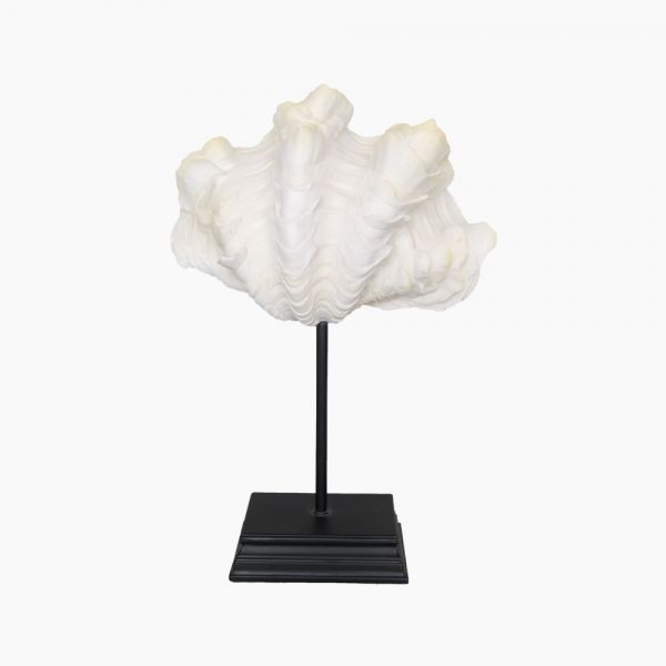 Seashell on a stand -4015507