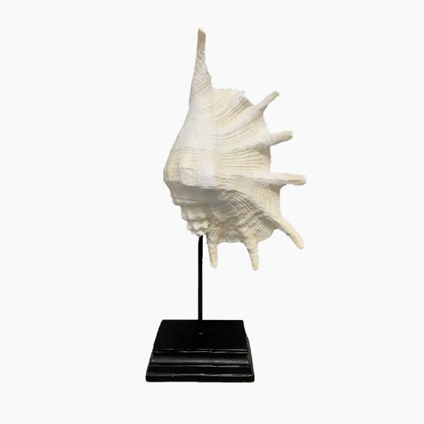 Seashell on a stand -4015510-H13