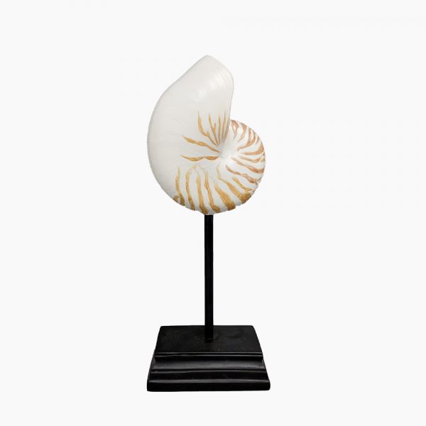 Seashell on a stand-4015519-H13