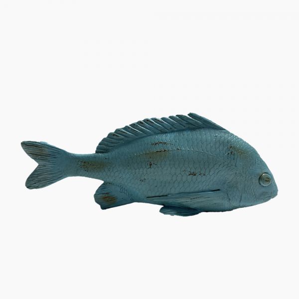 decorative fish -E4818606-H13BL