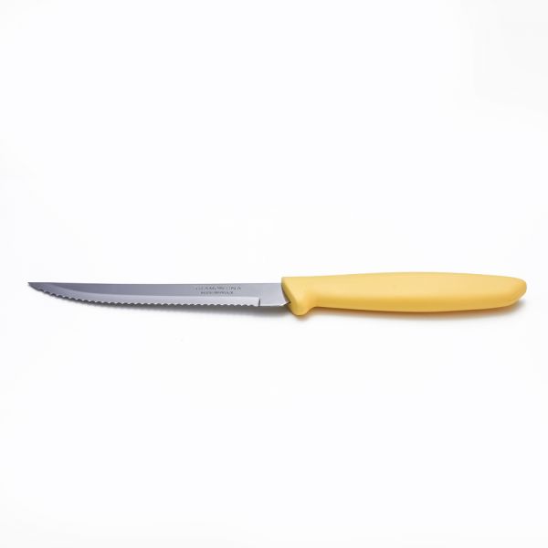 Tramontina / Stainless Steel ( Plenus Steak knife 10 cm / 5" )F