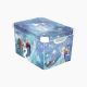 Frozen Storage Box 