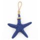 Small Starfish 