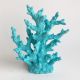 medium Turquoise Coral Reef