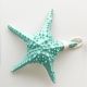 Large starfish