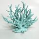 Large Turquoise Coral Reef