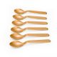 Zinnia / Plastic ( 6 PCS Spoon Set )Copper