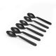Zinnia / Plastic ( 6 PCS Spoon Set )Black