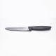 Tramontina / Stainless Steel ( Plenus Jumbo Steak knife 13 cm / 5