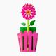 Flower Power sink side sponge