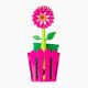 Flower Power Pink sink side sponge