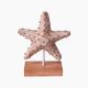 Wooden Star Fish 25 cm