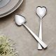 Can & Canan Mirror 12-Piece Coffee Spoon