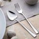 Can & Canan Mirror Plain Dessert Cutlery Set 12 Pcs