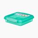 Sandwich Lunch Box 450 ml